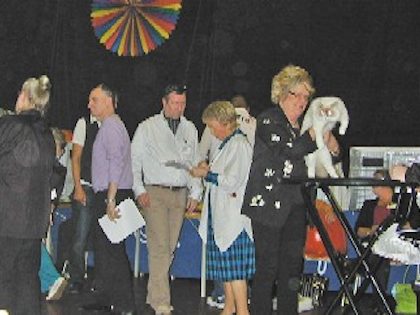 BIS_WCC_2009-neu.jpg